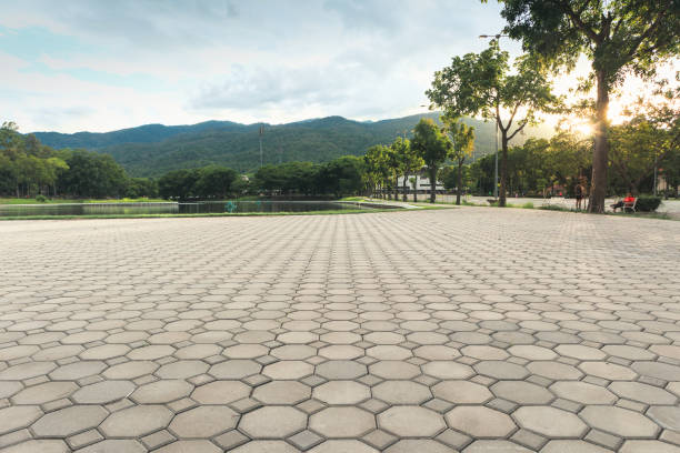 Best Decorative Driveway Pavers  in Stanley, WI